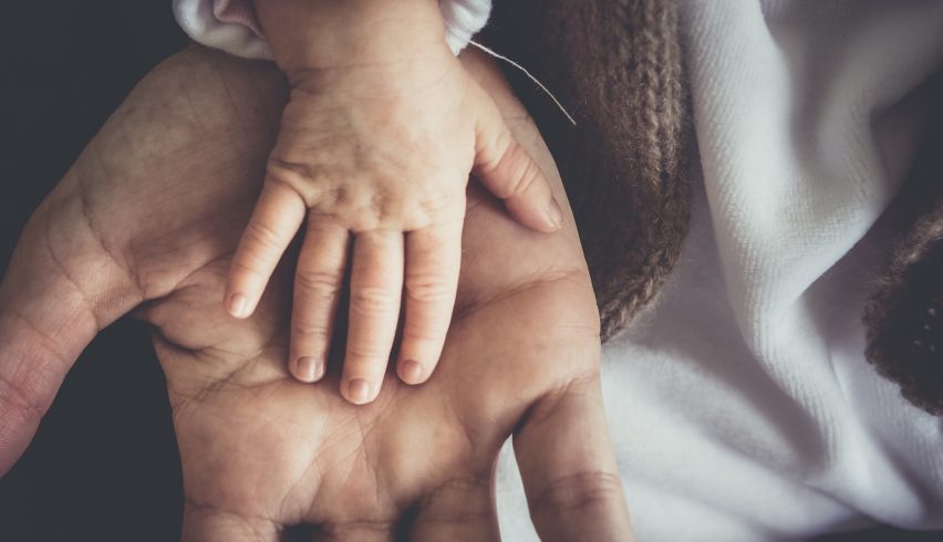 Surrogacy Advice